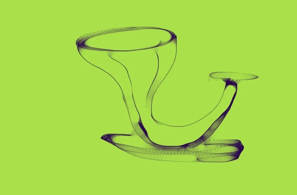 The Vase